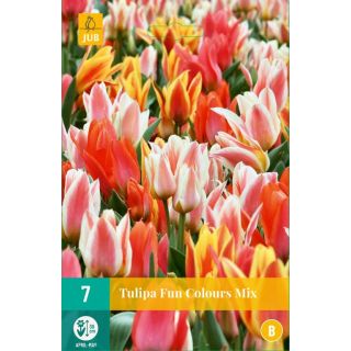 Compra TULIPÁN FUN COLOURS en la tienda online Fito Agrícola
