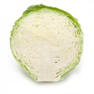 Compra COL MORAMA RZ Precisión (2.500 Semillas). en la tienda online Fito Agrícola