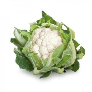 Compra COLIFLOR SANTAMARIA RZ Precisión (2.500 Semillas). en la tienda online Fito Agrícola