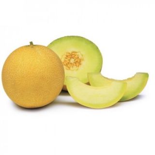 Compra MELÓN ALPES RZ Precisión (1.000 Semillas). en la tienda online Fito Agrícola