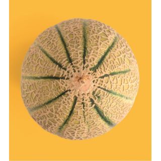 Compra NABO TOPPER F1 (Nabiza) (100 gr.). en la tienda online Fito Agrícola