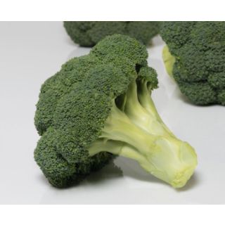 Compra BROCOLI COVINA F1 Precisión ECOLÓGICO (10.000 Semillas). en la tienda online Fito Agrícola