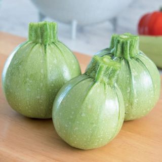 Compra CALABACÍN GALILEE F1 (1.000 Semillas) en la tienda online Fito Agrícola