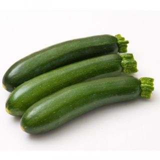 Compra CALABACÍN NORIAC F1 (1.000 Semillas) en la tienda online Fito Agrícola