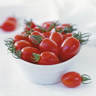 Compra TOMATE CAPRICCIO F1 (1000 Semillas). en la tienda online Fito Agrícola