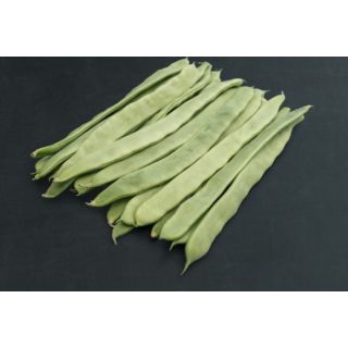 Compra JUDÍA SIDONIA - NCC (1.000 Semillas) en la tienda online Fito Agrícola