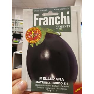 Compra BERENJENA MATRONA F1 (0,2 gr.). en la tienda online Fito Agrícola