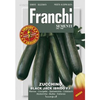 Compra CALABACÍN BLACK STAR F1 (50 gr.). en la tienda online Fito Agrícola