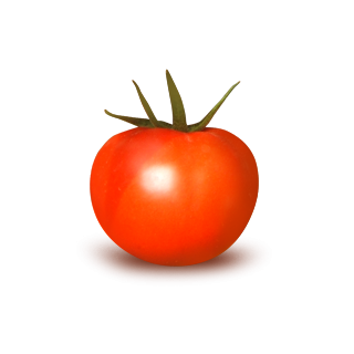 Compra TOMATE MARION F1 (1.000 Semillas) en la tienda online Fito Agrícola