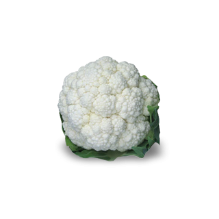 Compra COLIFLOR SEOUL F1 Calibrada (2.500 Semillas) en la tienda online Fito Agrícola