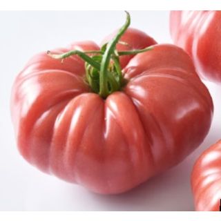 Compra TOMATE MARPINK F1 (1000 Semillas). en la tienda online Fito Agrícola