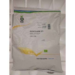 Compra ESPINACA RENEGADE F1 ECOLÓGICA Precisión (50.000 Semillas). en la tienda online Fito Agrícola