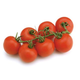 Compra TOMATE PITENZA F1 (1.000 Semillas) en la tienda online Fito Agrícola