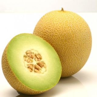 Compra MELON JUCAR RZ F-1 EPS104 en la tienda online Fito Agrícola