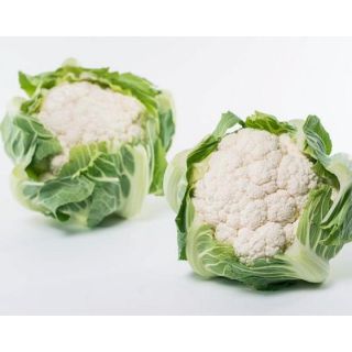 Compra COLIFLOR OMERIS F1 Vilsem (2.500 Semillas). en la tienda online Fito Agrícola