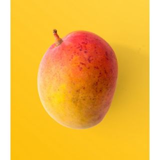 Compra LECHUGA ARENA Píldora Sphera (5.000 Semillas) en la tienda online Fito Agrícola