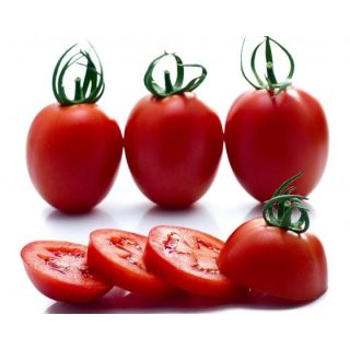 Compra TOMATE TRUJILLO F-1 Vilsem (1000 Semillas) en la tienda online Fito Agrícola