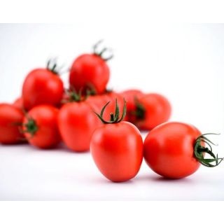 Compra TOMATE OLMEDO F1 (1000 Semillas) en la tienda online Fito Agrícola