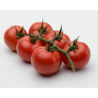 Compra TOMATE BARBARELA F1 (1000 Semillas) en la tienda online Fito Agrícola