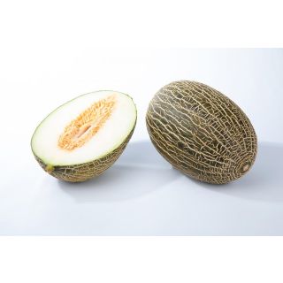 Compra MELÓN ARROYO (1.000 Semillas). en la tienda online Fito Agrícola