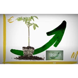 Compra TOMATE TRONIX F-1 (1.000 Semillas) en la tienda online Fito Agrícola