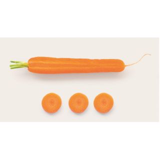 Compra LECHUGA BATSUN Pildorada (25.000 Semillas) en la tienda online Fito Agrícola