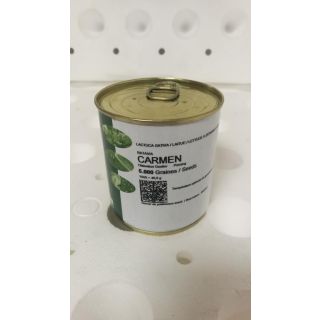 Compra LECHUGA CARMEN Pildorada (5.000 Semillas) en la tienda online Fito Agrícola