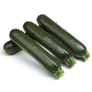 Compra CALABACÍN MUSA F-1 (1.000 Semillas) en la tienda online Fito Agrícola