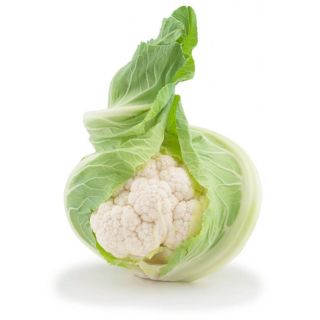 Compra COLIFLOR MERIDIEN F1 Peliculada (2.500 Semillas) en la tienda online Fito Agrícola