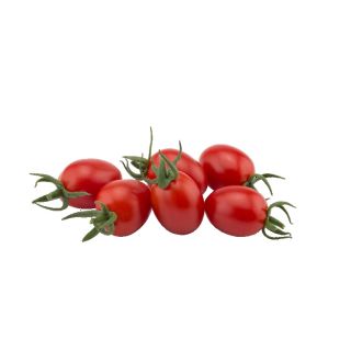 Compra TOMATE DULCINI F1 (1000 Semillas). en la tienda online Fito Agrícola