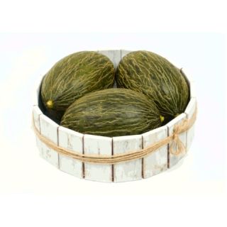 Compra MELÓN ALCAREZ F1 (1000 Semillas). en la tienda online Fito Agrícola