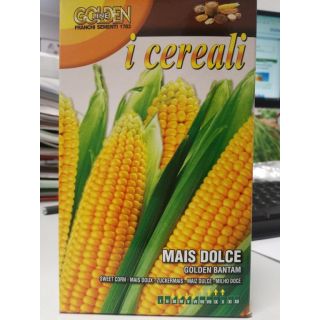 Compra MAÍZ DULCE GOLDEN BANTAM (100 gr.) en la tienda online Fito Agrícola