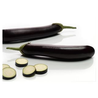 Compra BERENJENA TIJUANA F1 (500 Semillas). en la tienda online Fito Agrícola