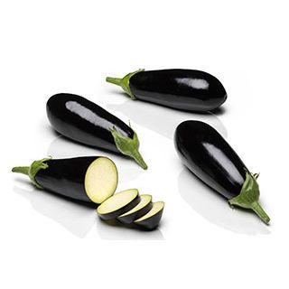 Compra BERENJENA TINA F1 (500 Semillas) en la tienda online Fito Agrícola