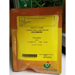 Compra JUDÍA GOLDMARIE (250 Semillas). en la tienda online Fito Agrícola