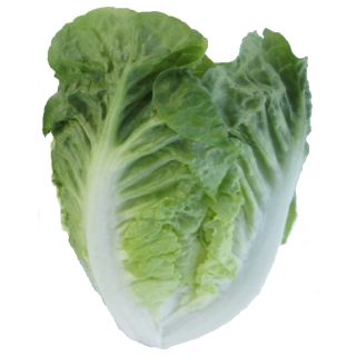 Compra LECHUGA ASPEN Pildorada (5.000 Semillas) en la tienda online Fito Agrícola