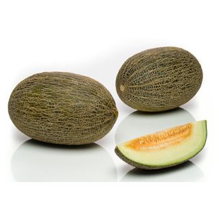 Compra MELÓN VALENTIN F1 (1000 Semillas). en la tienda online Fito Agrícola