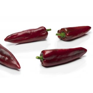 Compra PIMIENTO GAITANES F1 (1.000 Semillas) en la tienda online Fito Agrícola