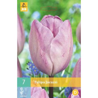 Compra TULIPÁN JACUZZI en la tienda online Fito Agrícola