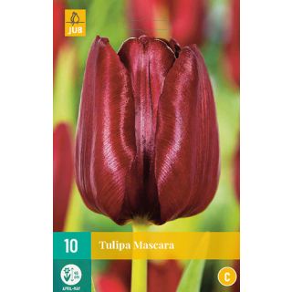 Compra TULIPÁN MASCARA en la tienda online Fito Agrícola