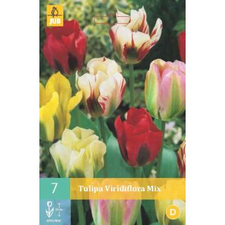 Compra TULIPÁN VIRIDIFLORA MIX en la tienda online Fito Agrícola