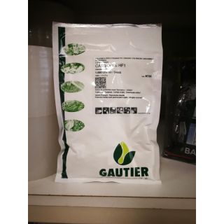 Compra CALABACÍN CASSIOPÉE F1 (1.000 Semillas) en la tienda online Fito Agrícola