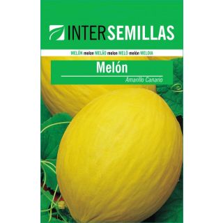 Compra MELÓN AMARILLO CANARIO (500 gr.). en la tienda online Fito Agrícola