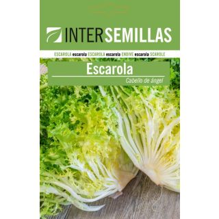 Compra ESCAROLA RIZADA DE CABELLO DE ANGEL (100 gr.). en la tienda online Fito Agrícola
