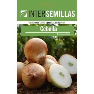 Compra CEBOLLA AMONQUELINA (500 gr.). en la tienda online Fito Agrícola