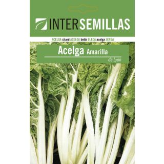 Compra ACELGA AMARILLA DE LYON 2/3 (100 gr.). en la tienda online Fito Agrícola