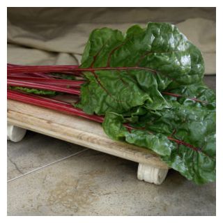 Compra ACELGA FIRE FRESH BABY LEAF (50.000 Semillas) en la tienda online Fito Agrícola