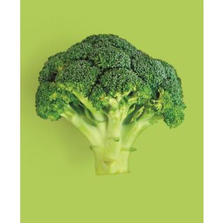 Compra BRÓCOLI PERSEUS F1 (2.500 Semillas) en la tienda online Fito Agrícola