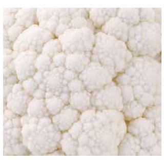 Compra COLIFOR DENTON F1 (2.500 Semillas) en la tienda online Fito Agrícola