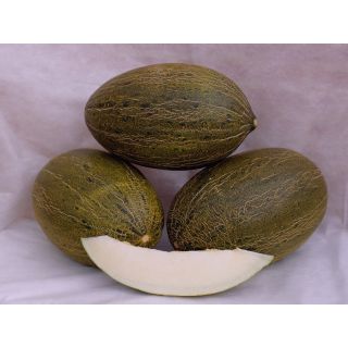 Compra MELÓN DON QUIXOTE F-1 (1.000 Semillas) en la tienda online Fito Agrícola